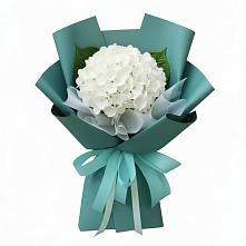 Букет цветов из:  Гортензия в Мухене